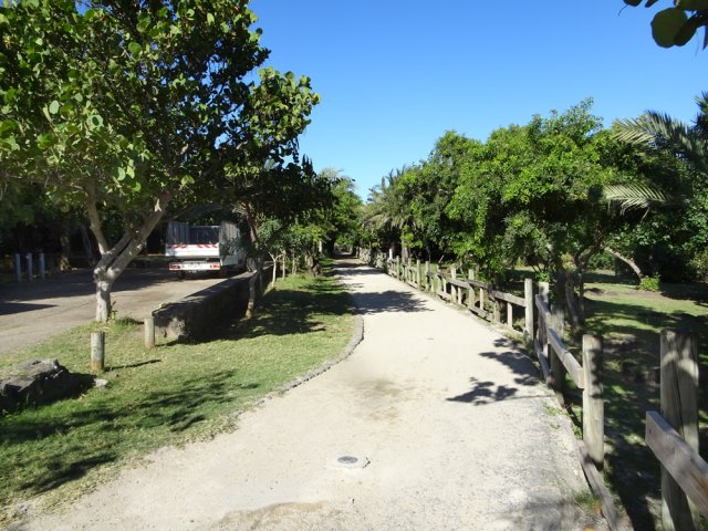 Et un peu d'ombre pour terminer la balade