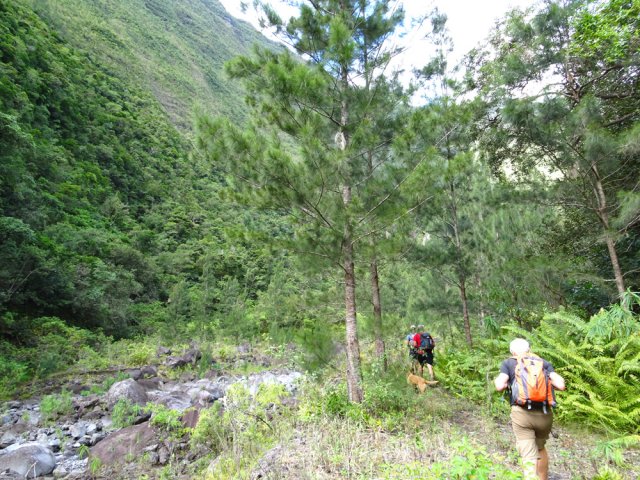 Marcher moins de 100 m après la pause sous les filaos
