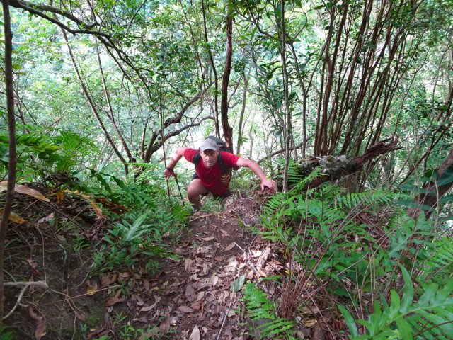 Les mains servent autant que les pieds