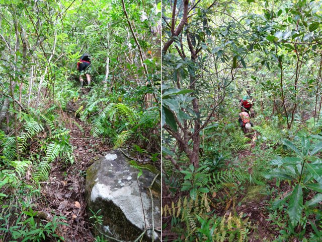 Deux exemples de sentier bien marqué