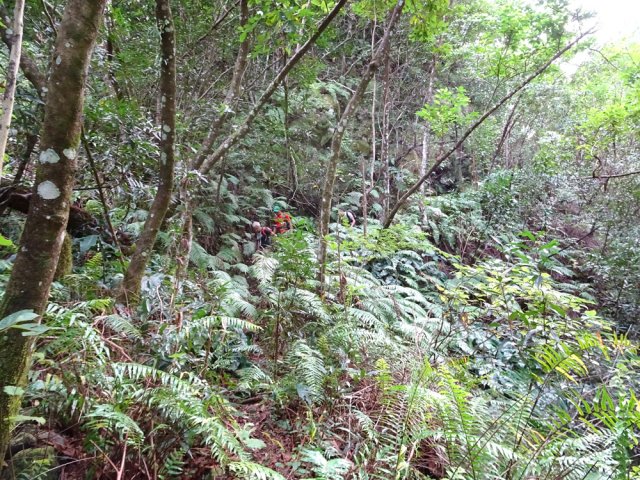 Retour en descente vers les rives de la Rivière des Pluies
