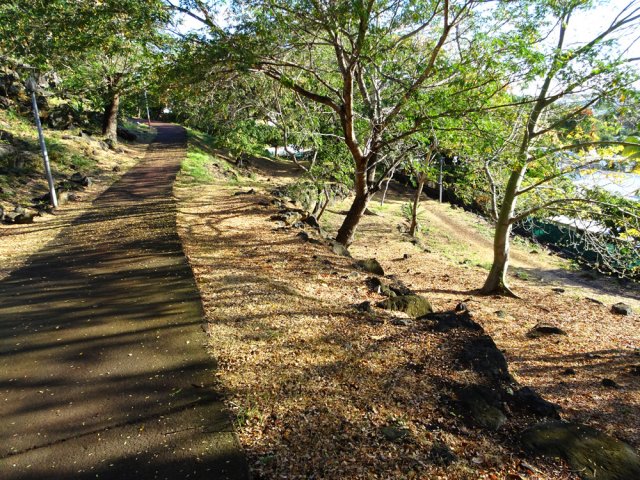 On a jusqu'à 4 passages en parallèle