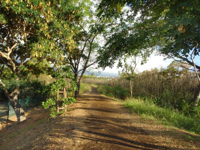 La piste frôle l'école Jules Joron
