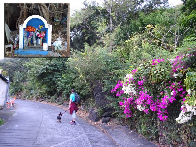 Le départ discret du sentier à la Grande Ravine des Lataniers