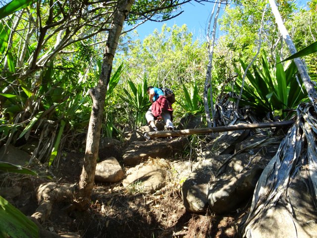 Pas de marches pour ces fortes pentes