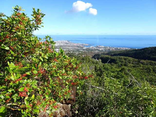 Vues sur Le Port avant de descendre vers la grotte