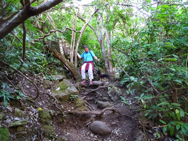 La descente vers la Ravine à Marquet est aussi raide que la montée