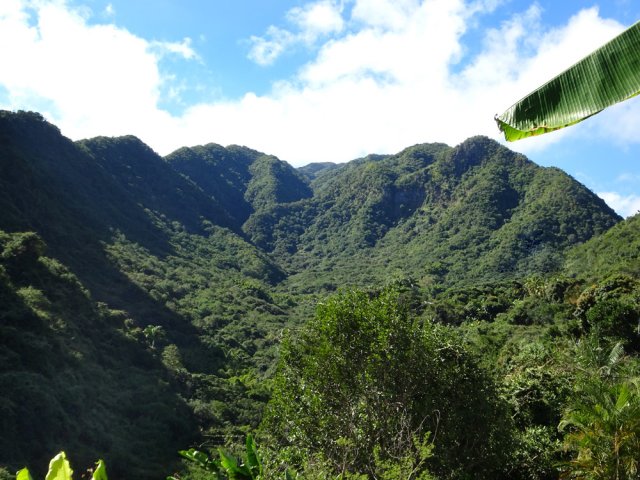Belles vues vers le Piton Grand Bazar depuis le Chemin Ratinaud