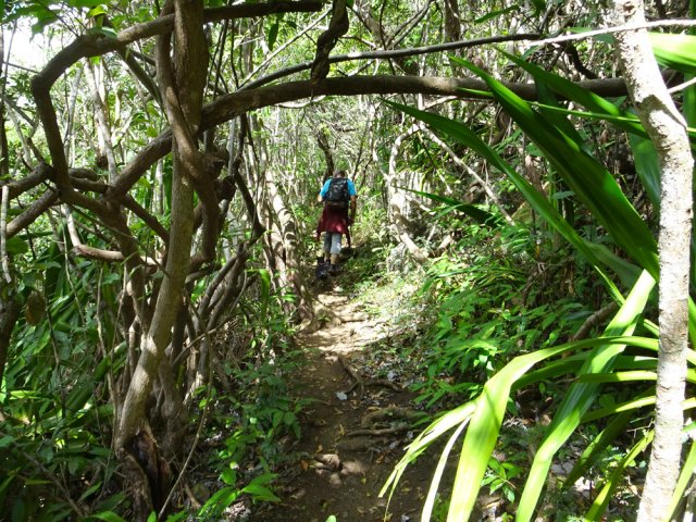 La deuxième partie de la montée est agréable malgré l'étroitesse du sentier