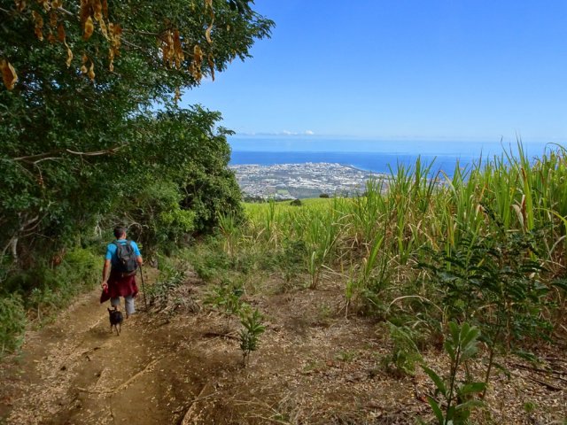 Les points de vue sur Le Port sont nombreux durant cette descente
