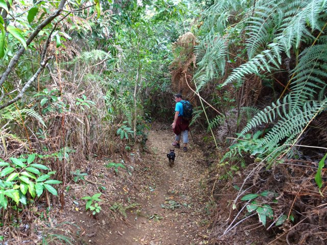 Peu de difficulté de marche tout au long de la descente
