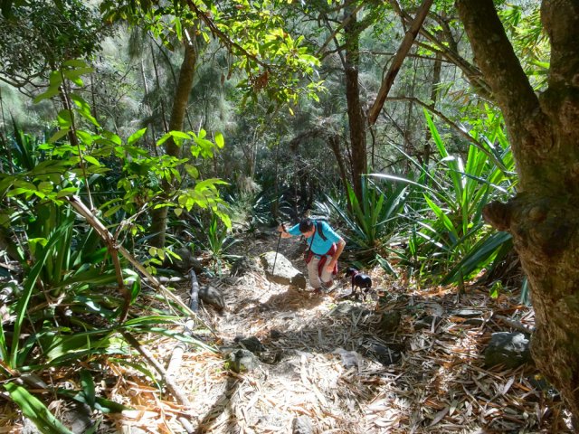 La remontée pour franchir la crête est vraiment raide par endroits