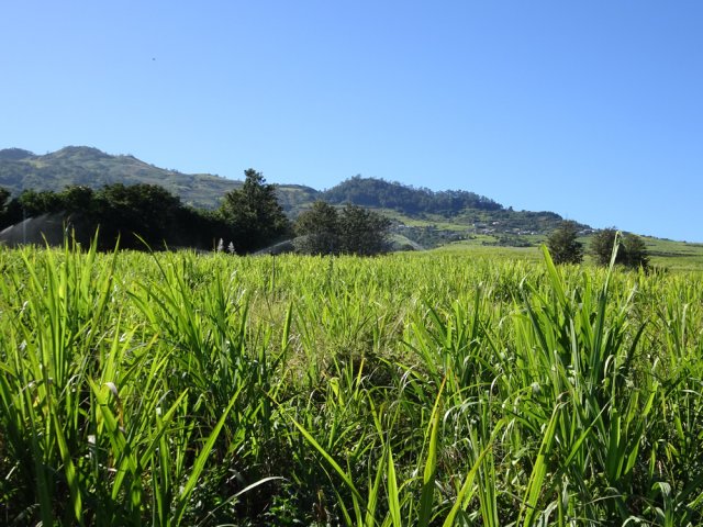 La route traverse campagne et cultures