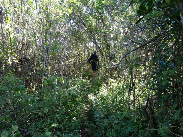 Le petit sentier à la fin du Chemin des Pêches