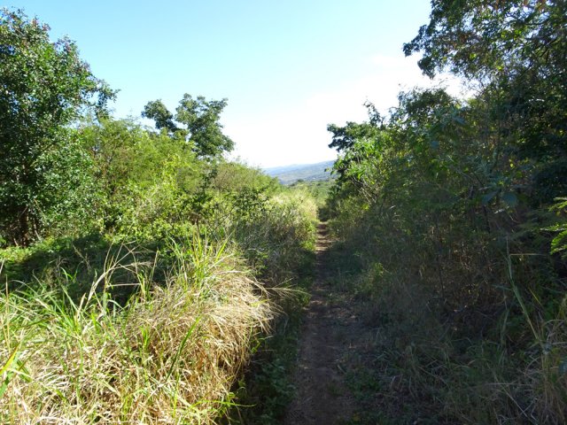 Prendre le premier sentier à droite rencontré en descente
