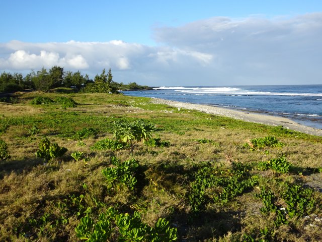 Traverser la verdure pour se diriger vers la plage de sable clair