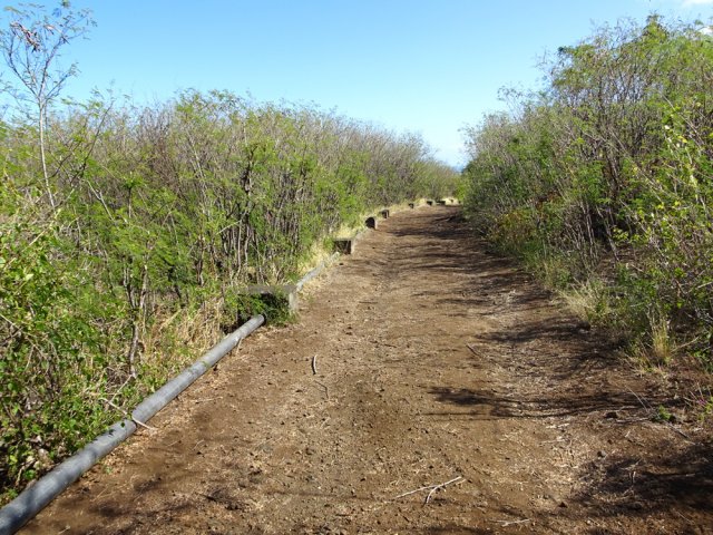 Large sentier bordé d'une canalisation