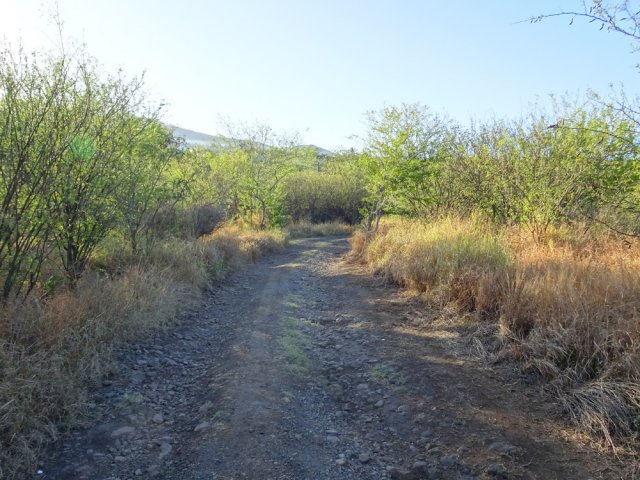 Rejoindre les Quatre Robinets par la piste