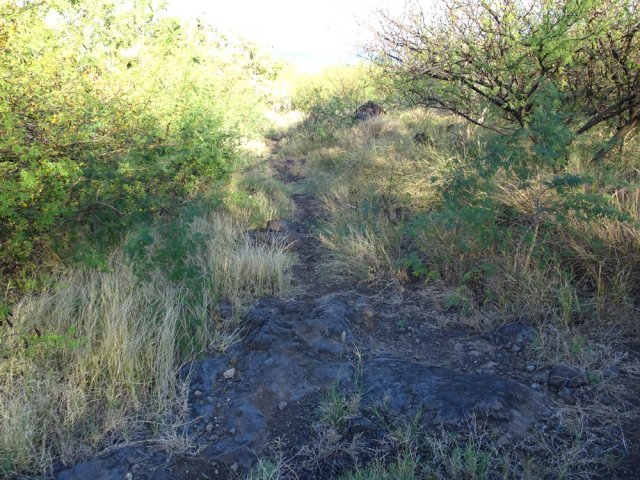 Ce sentier évite le Chemin de la Pépinière