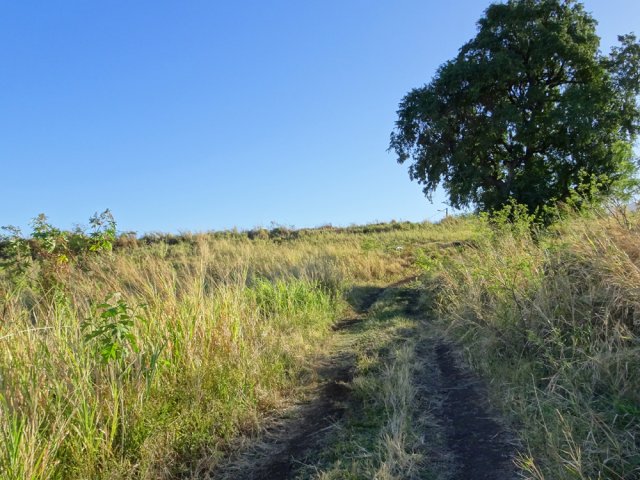 La piste partant du Chemin de Lancastel