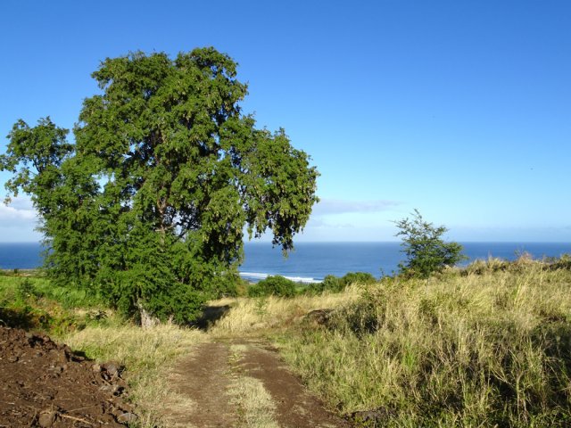 Belles vues sur mer depuis la piste