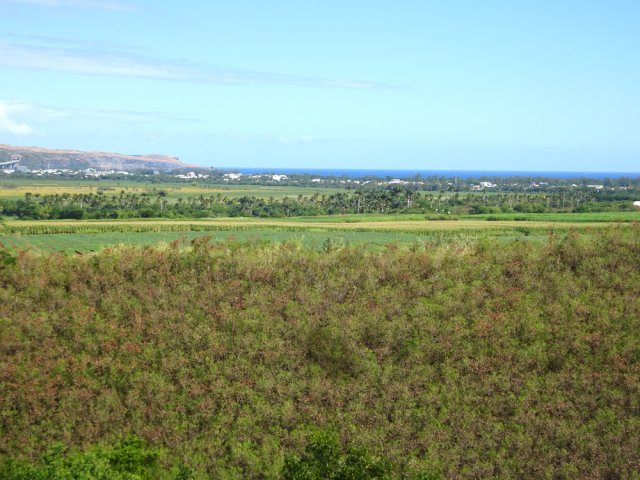 Points de vue sur les cultures, l'étang et même l'océan