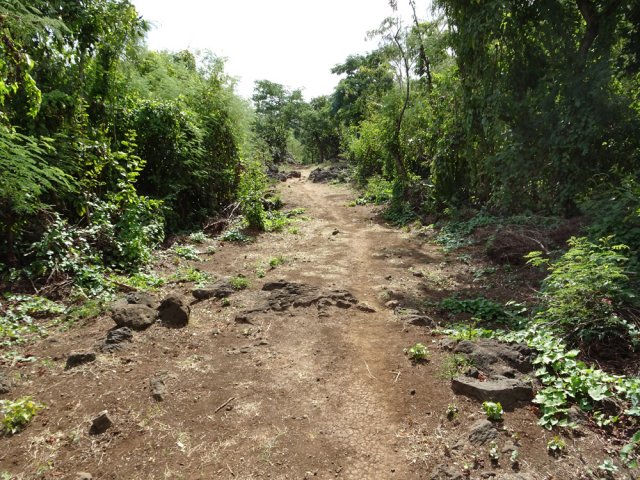 Le sentier Cheval est large et bien entretenu