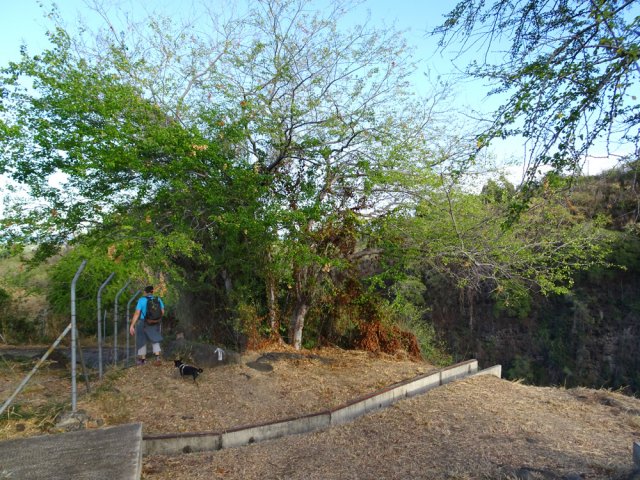 Suivre la flèche blanche en longeant le grillage
