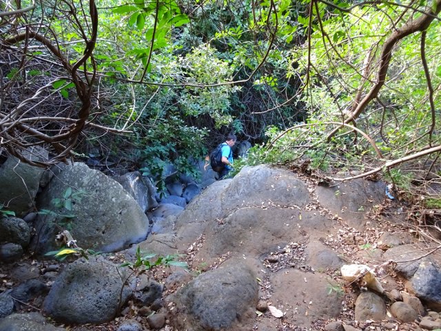 La ravine se suit sans trop d'hésitations