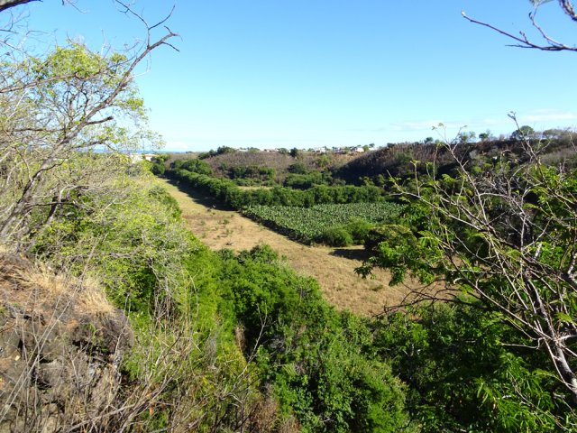 Beaux points de vue sur les cultures de la Plaine en contrebas