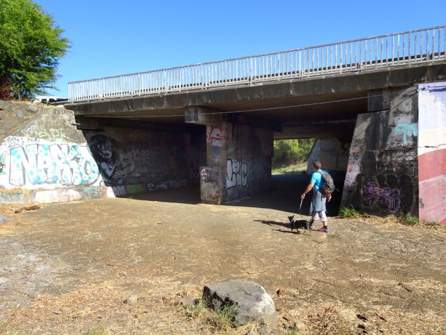 Rester dans la ravine pour franchir la RN1