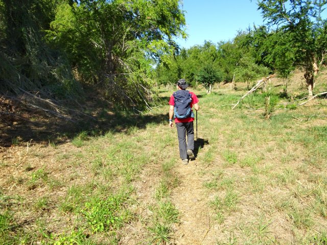 Encore une promenade de santé à deux pas de la voie rapide assez bruyante