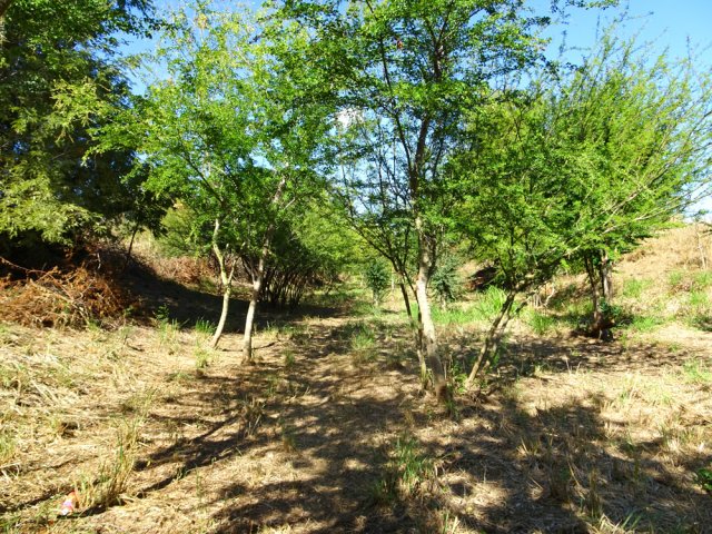 L'herbe du fond n'est pas toujours aussi bien tondue