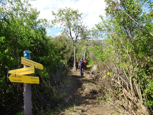 Un des sentiers en bordure d'étang vers la pisciculture
