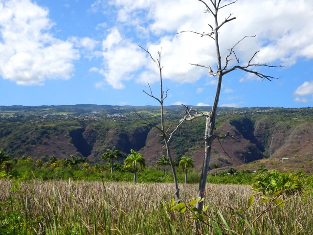 Belles vues sur l'étang et les falaises depuis la piste