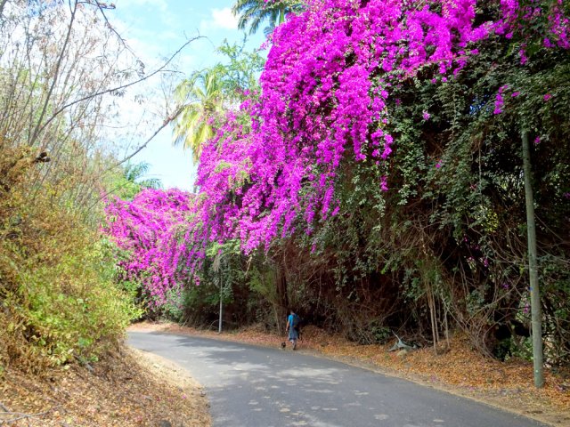 Il reste assez peu de route pour rejoindre le parking