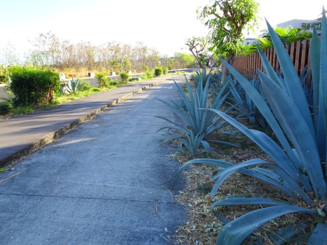 Emprunter tout d'abord la piste cyclable de la Rue Canal Traverse