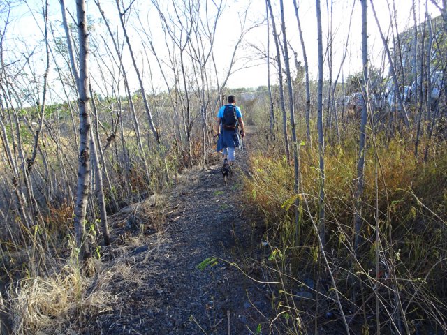 Poursuivre par le sentier parallèle à la rue