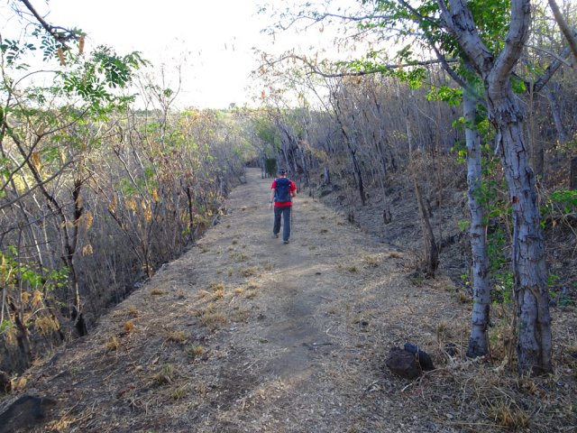 L'agréable sentier longeant le Lycée Saint-Paul IV