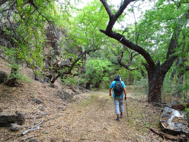 Nouveaux spots d'escalade en rive gauche