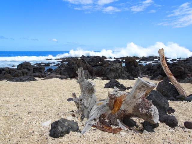 Les vagues, parfois fortes, sont assourdissantes