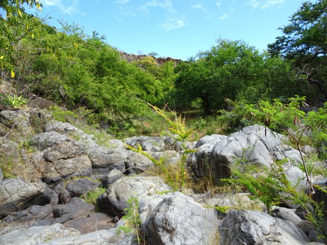 La remontée s'effectue assez facilement sur les basaltes et les roches