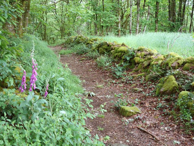 Le chemin creux vers le grand champ