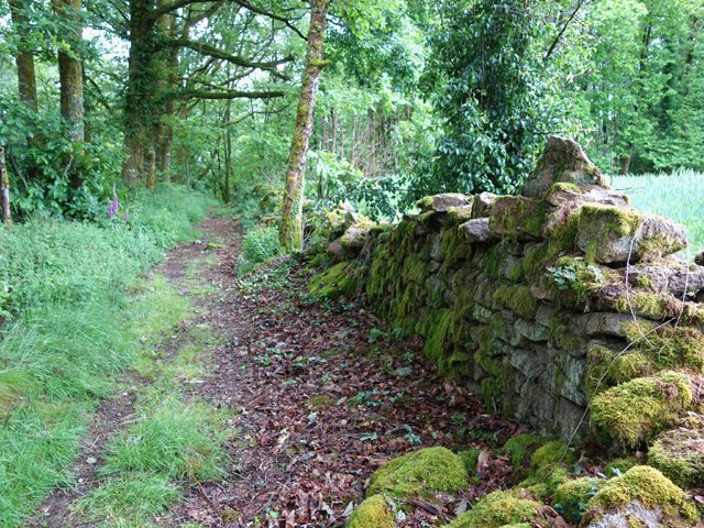 Les abords de chemins étaient soignés au siècle précédent