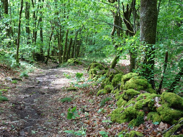 Ne restent que des murets couverts de mousse