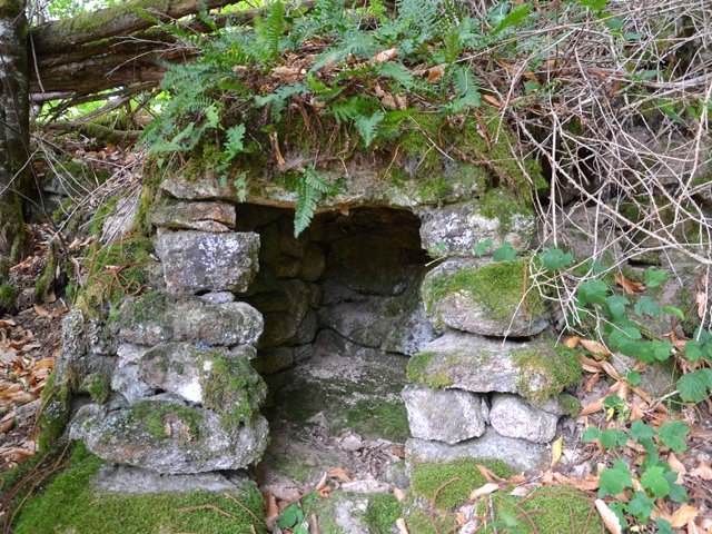 Une première cabane en bordure de champ