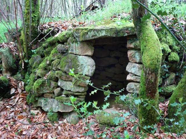 Celle-ci, plus difficile à dénicher en sous-bois un peu sombre