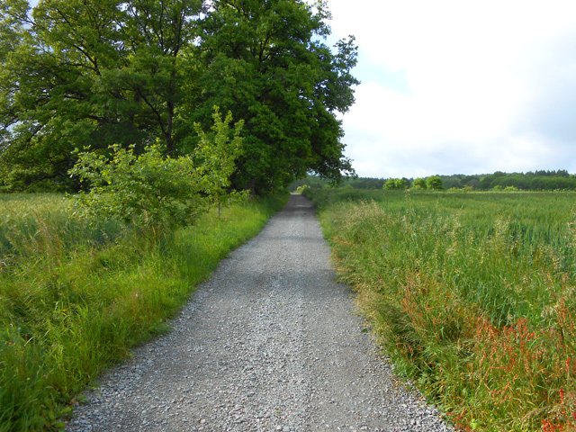 La petite route entre les Baschauds et Roussis