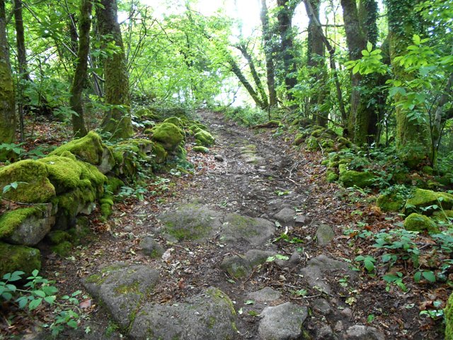 Une idée des pistes employées durant la randonnée