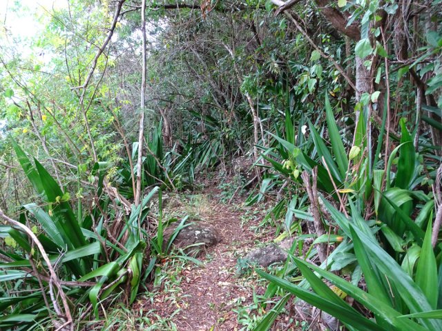 La remontée est beaucoup plus facile